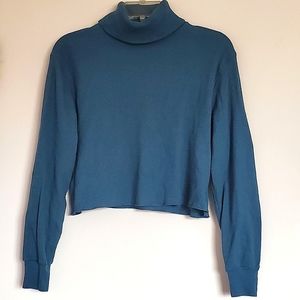 ARITZIA Turtleneck